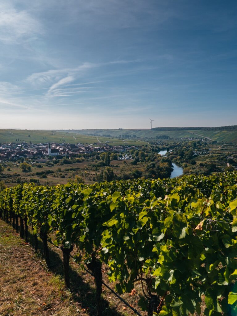 Groß (Aussichtspunkt Vogelsburg Volkach 1)