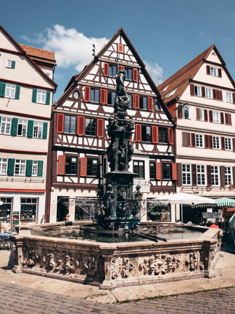 Neptunbrunnen Tübingen (1)