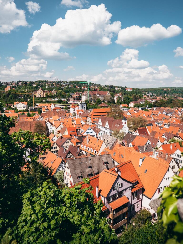 Nordbastion Schloss Hohentübingen - Blick Altstadt Tübingen (1)