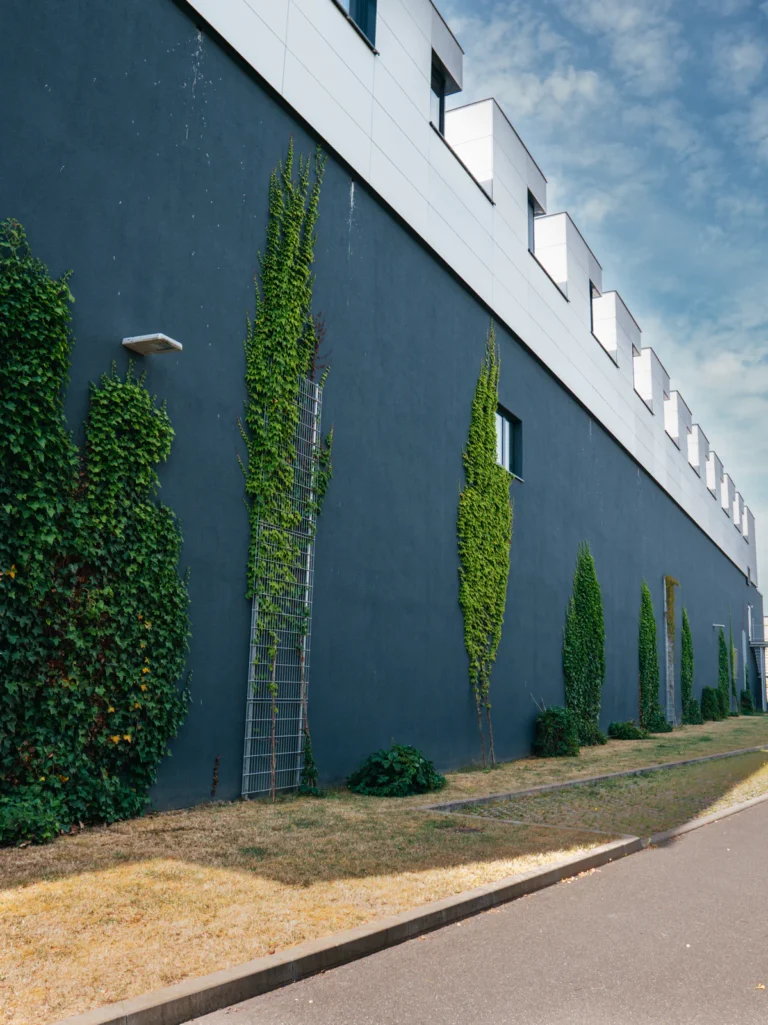 Bewachsene Fassade - Hubland Center Würzburg. Der Fotogoals Fotospot in Würzburg