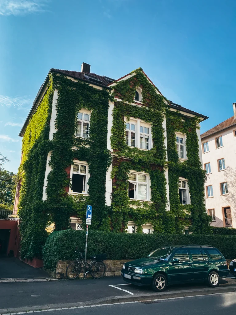 Bewachsenes Gebäude - Friedenstraße Würzburg. Der Fotogoals Fotospot in Würzburg