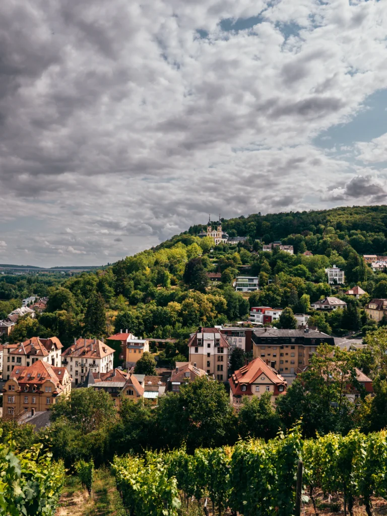 Panoramaweg Marienberg - Blick: Käppele Würzburg. Der Fotogoals Fotospot in Würzburg