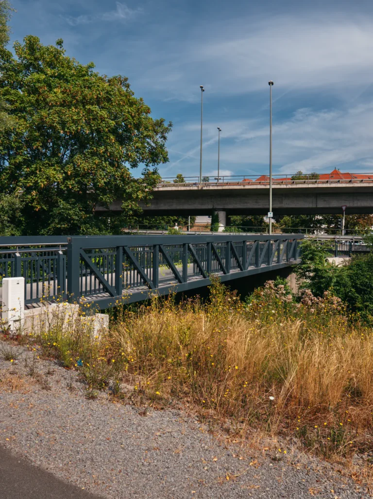 Pleichach Radbrücke - Aumühlweg Würzburg. Der Fotogoals Fotospot in Würzburg