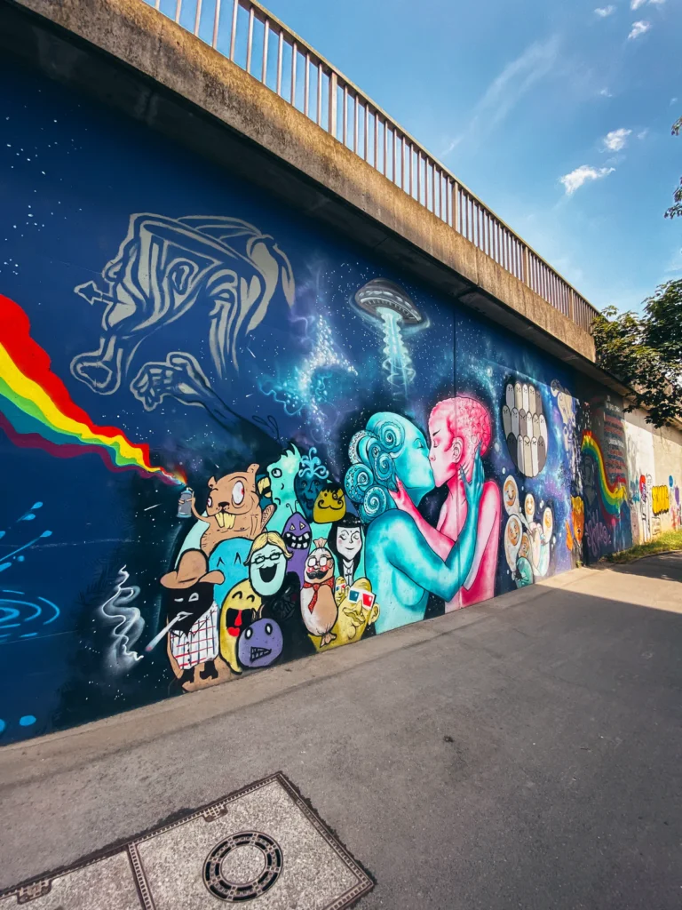 Murals - Durchgang Seinsheimstraße Würzburg. Der Fotogoals Fotospot in Würzburg