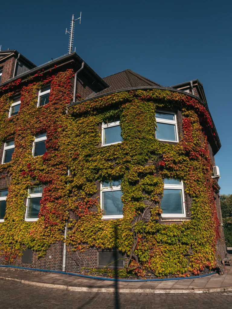 Zollamt Hamburg (bewachsenes Gebäude) Hamburg. Der Fotogoals Fotospot in Hamburg