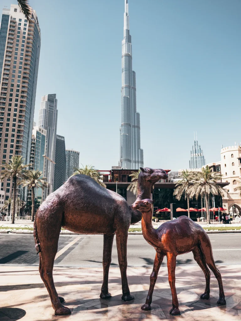'Camels View' - Kamel Skulpturen Dubai 1