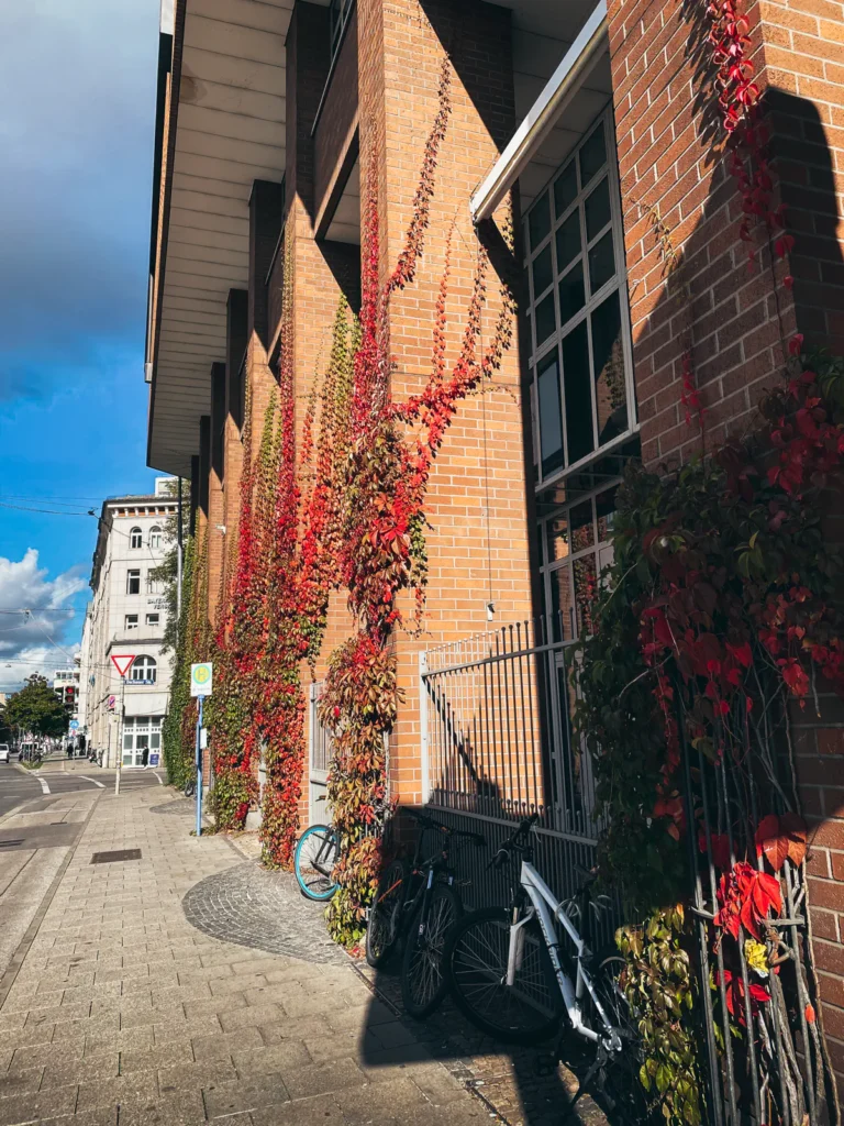 Efeusäulen - Elisenstraße München. Der Fotogoals Fotospot in München