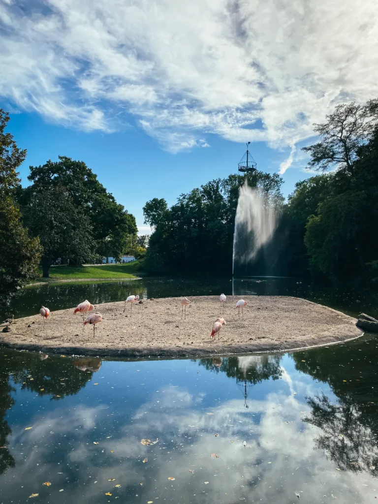 Flamingosee - Killesberg Stuttgart. Der Fotogoals Fotospot in Stuttgart